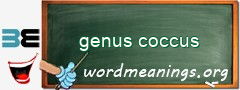 WordMeaning blackboard for genus coccus